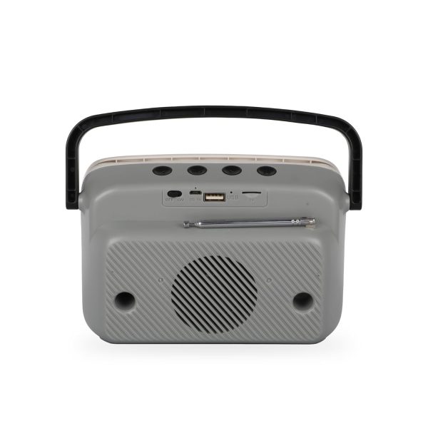 Zebronics Astra 10 Portable Wireless BT v5.0 Speaker, 10W RMS Power, 15* Hours Backup, 2.25" Drive Size, up to 6.4" Mobile Holder Support, Carry Handle, USB, mSD, AUX Input and FM Radio, Grey