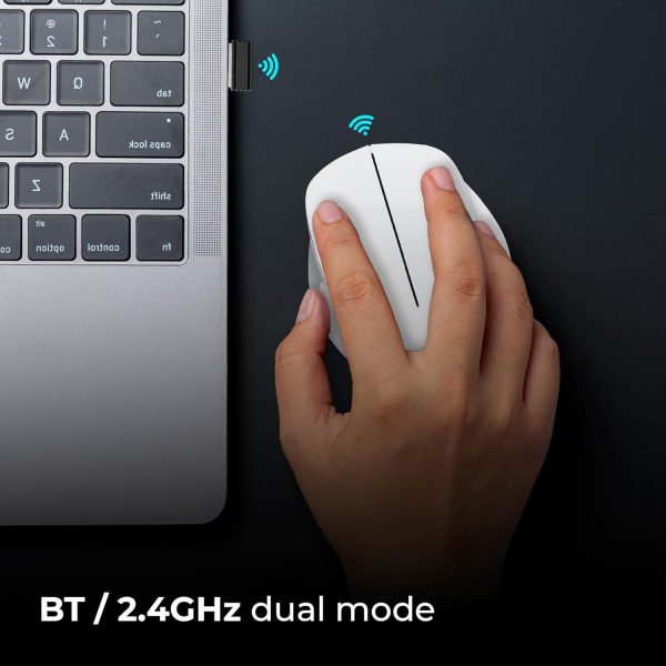 ZEBRONICS Dolphin Silent Wireless Mouse, Dual Mode Bluetooth, 2.4GHz, 1200 DPI, 3 Buttons, USB Nano Receiver, Thumb Scroll Wheel, Glossy Finish and Ergonomic Design (White)