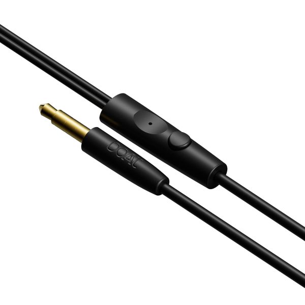 boAt BassHeads 100 in-Ear Wired Headphones with Mic (Black)