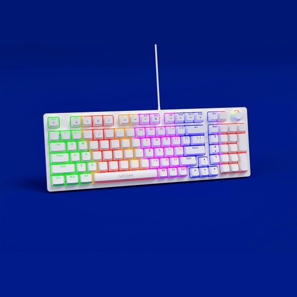 iVOOMi Keyboard Tucker Mechanical switches | BIS Approved |13 Rainbow Backlight |25 Anti-Ghosting Keys |Windows Lock Function | Volume Knob | Compatible with Win/Mac/Linux | 1-Year Warranty