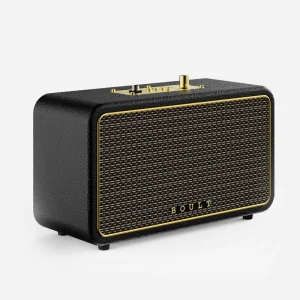 Boult RetroAmp X60 Dual Drivers, 60W Power, 14H Battery, Classic Rugged Leather, 5.3V 60 W Bluetooth Home Audio Speaker (Royal gold, Stereo Channel)