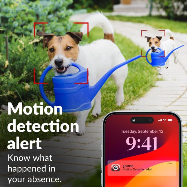 CP PLUS 4MP Wi-fi Full Color Outdoor Smart Security Camera | 360˚ with Pan & Tilt | Two Way Talk | Human Detection | Night Vision | Supports SD Card (Up to 128 GB) | Alexa & OK Google - CP-Z43A