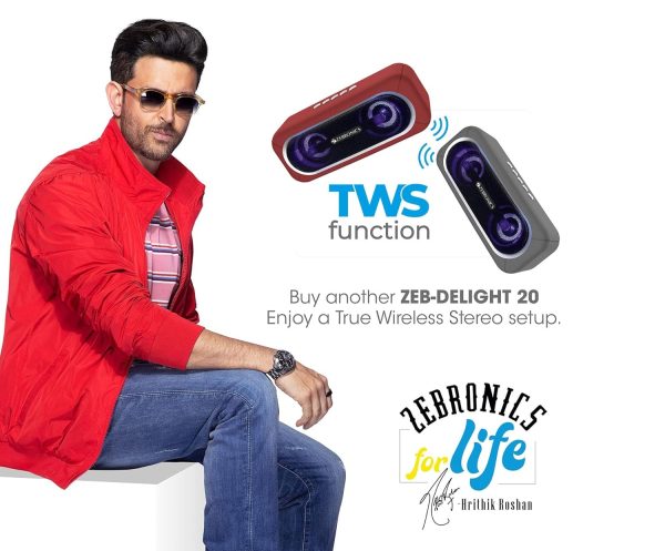 Zebronics Zeb-Delight 20 Bluetooth v5.0 Portable Speaker with 10W RMS, TWS Function, FM Radio, Call Function, Supports USB, microSD, 5H Backup, Built-in Rechargeable Battery, AUX and RGB Lights