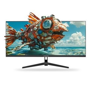 iVOOMi 29" Flat LED Monitor (73.66cm) with in-Built Speaker, 21:9 Ratio, BIS Approved, Refresh Rate 100 Hz with 2560 x 1440 Pixels, FHD, Power Mode Indicator, Strong Metal Stand, 3 Years Warranty