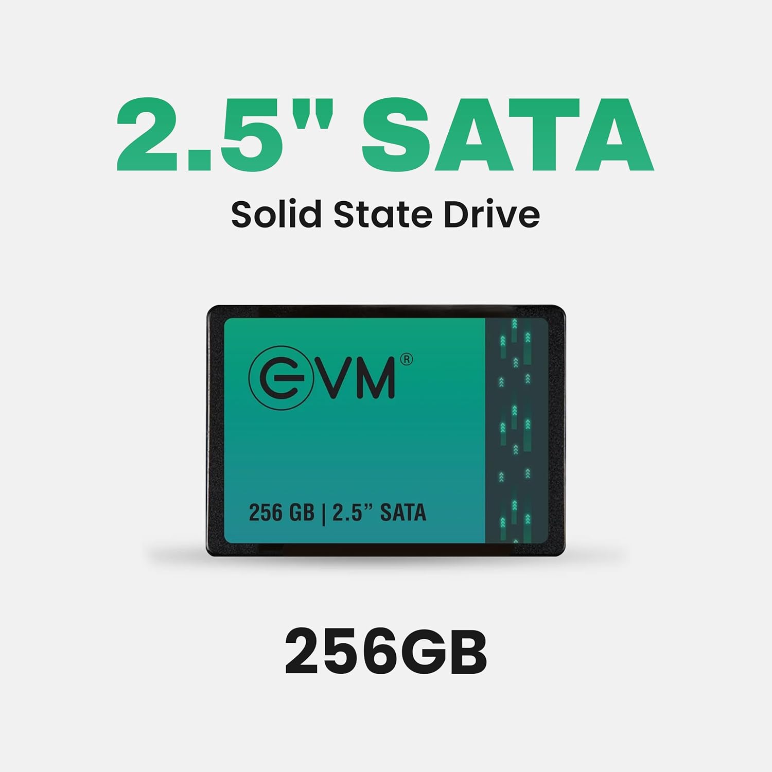 EVM 256GB 2.5-Inch SATA III Internal SSD β 550MB/s Read & 500MB/s Write, 3D NAND, 5-Year Warranty, Laptop & Desktop Solid State Drive (EVM25/256GB)