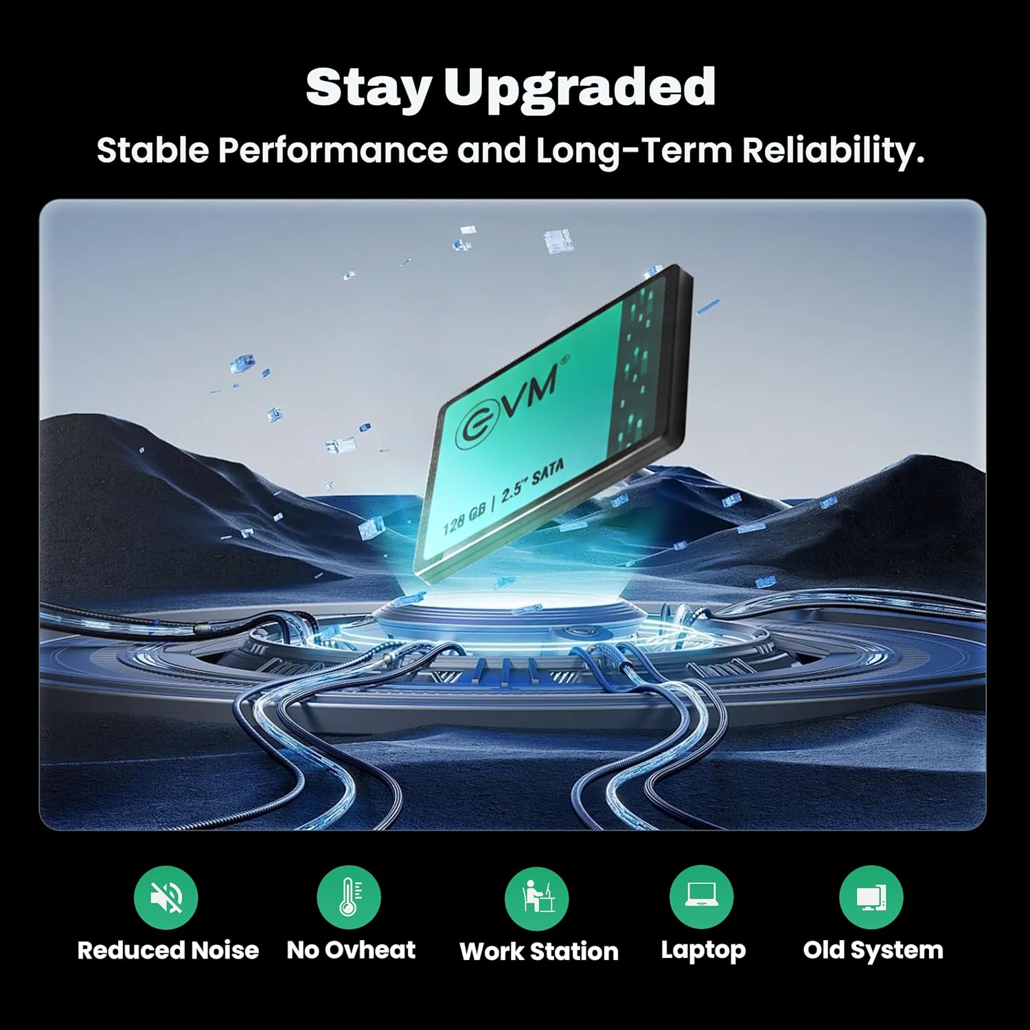 EVM 128GB 2.5-Inch SATA III Internal SSD β 550MB/s Read & 500MB/s Write, 3D NAND, 5-Year Warranty, Laptop & Desktop Solid State Drive (EVM25/128GB)