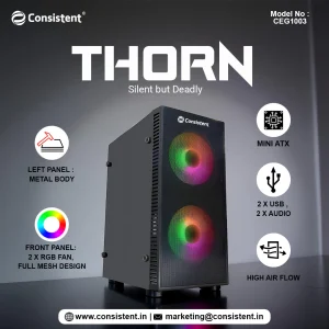 Consistent THORN Mini ATX Cabinet – CEG1003